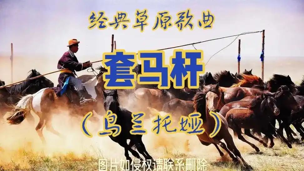 创作灵感 #图集创作 #投稿冲榜 #情系草原 #套马杆 # - 抖音