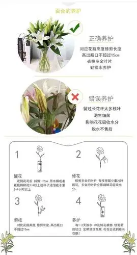 团购的鲜切花如何醒花养护