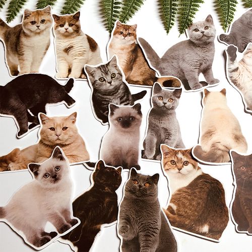 贴纸可爱猫咪 各种宠物猫手账贴纸 日记本相册diy贴画 手帐贴纸