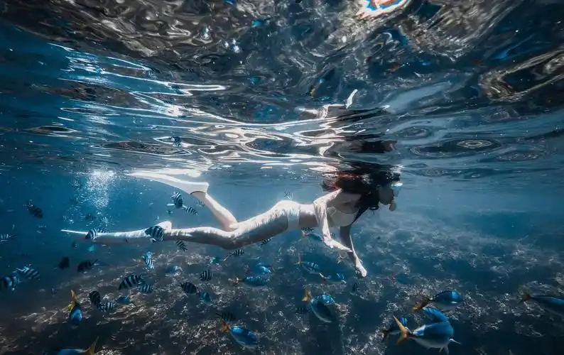 深海恐惧症治愈篇帕劳