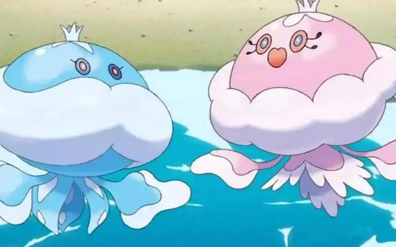 人畜无害的鬼水母