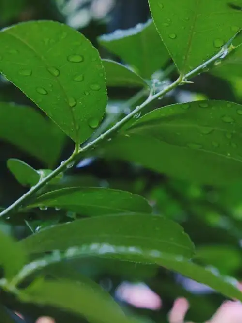 雷雨后的山顶洞72