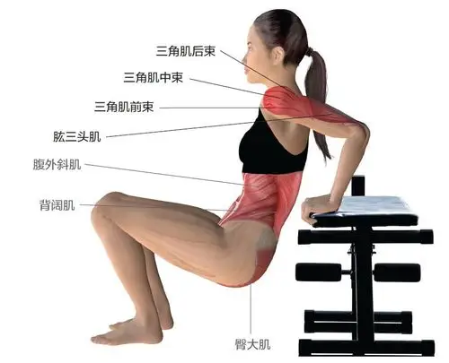 在任何升高的平面,它不仅可以随时随地练习,训练肱三头肌最有效的动作