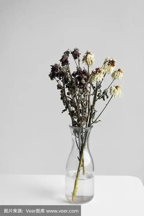 白色背景上的一束枯萎的花