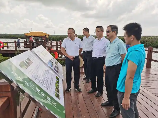 省林业局二级巡视员李云新带队督导调研湛江林长制和