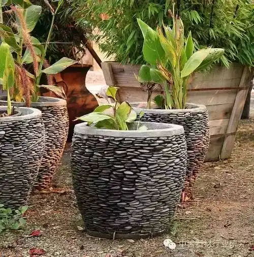 石头摆pose秀出不一样的美