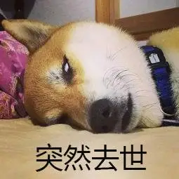 狗子系列-皮蛋表情包