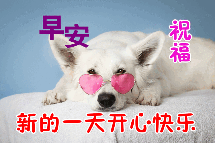 10月22日最新早上好漂亮图片大全动态,早上好问候语句子