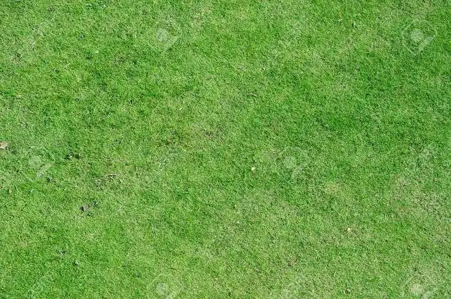 图片:grass texture : 在 google 上搜索到的图片(来源:cfau-pd.net)