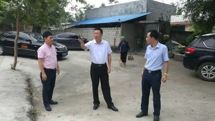 图为镇委书记谢少平,镇长曾斌陪同吴波副市长在流方村委会宿老村检查