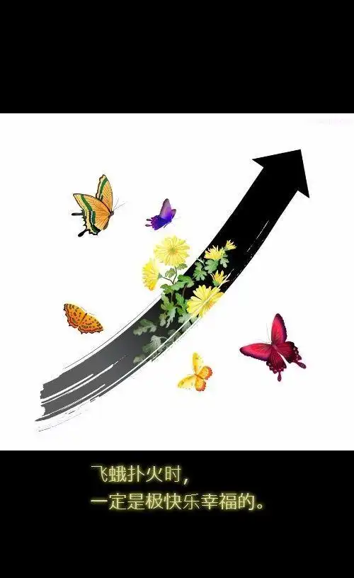 文字图片 文字图片 飞蛾扑火时