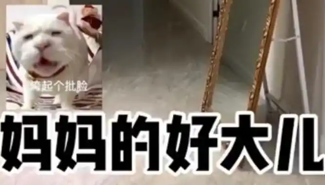 妈妈的好大儿什么梗