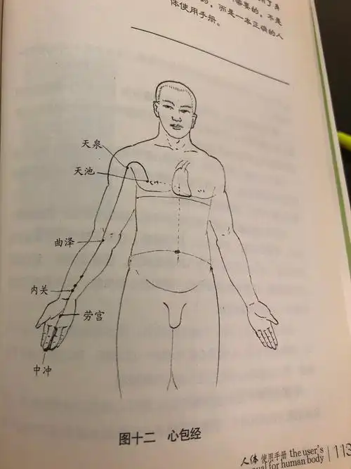 按摩心包经1