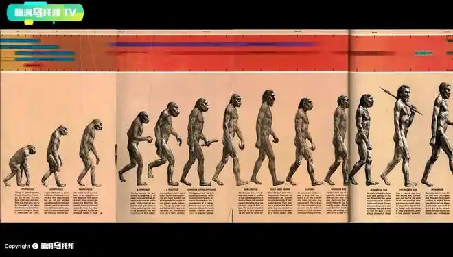 非生物专业出身的人,对进化论的最初印象可能就是来自于这张图.