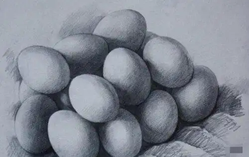 重温达芬奇画鸡蛋的故事只有打好基础才能获得更高成就2