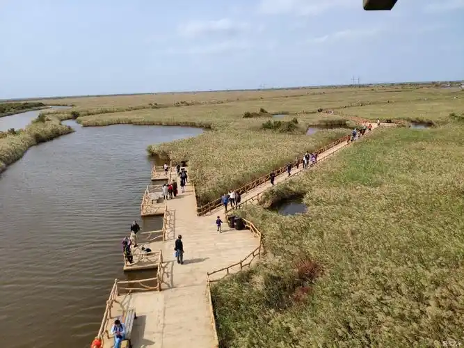 黄河入海口一日游