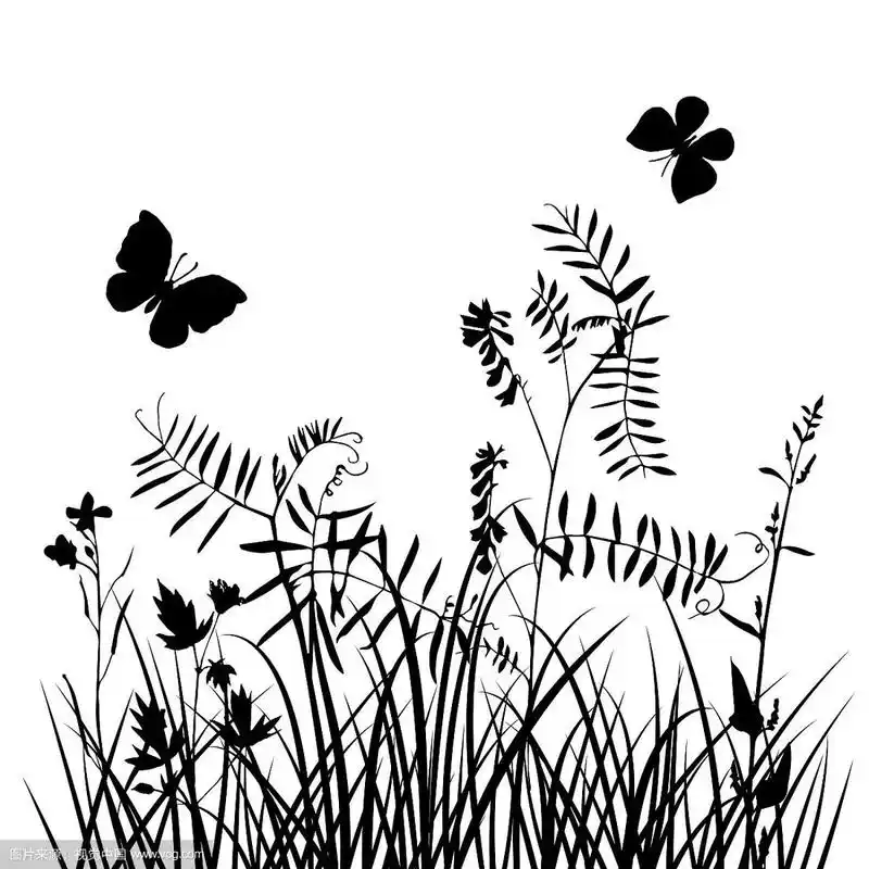 花草的剪影