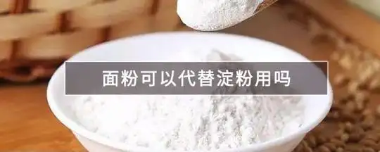 面粉可以代替淀粉用吗 | 十号生活