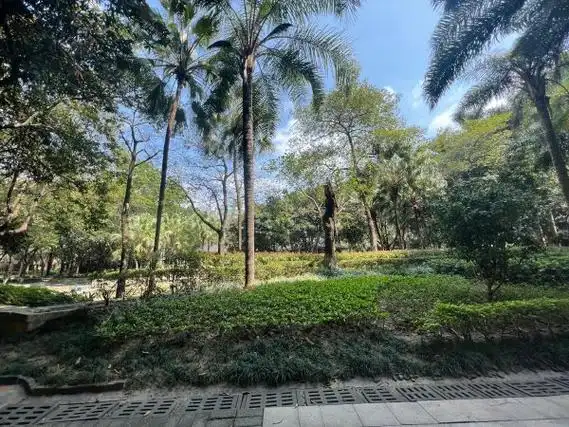 广州白云南湖南湖半岛花园雅居乐南湖半岛花园 七房 仅需不到8q的价格