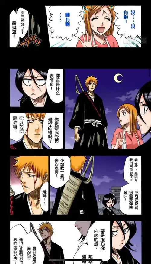 《黑崎一护篇:被露琪亚引导的人》