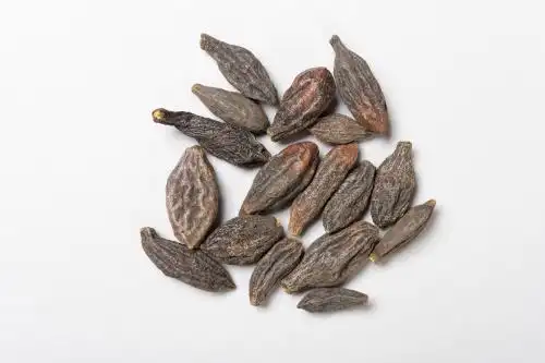 中药西青果 西青果