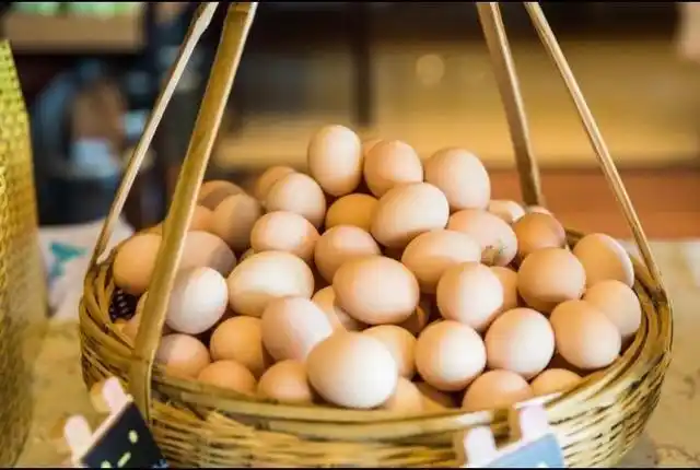 一篮鸡蛋