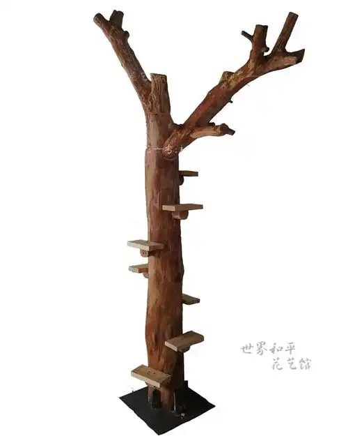实木猫爬架耐磨不粘毛防腐原木枯树树干大型猫窝猫爬架