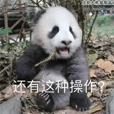 大熊猫表情包套图兽人永不为奴