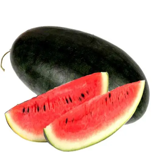 黑美人西瓜