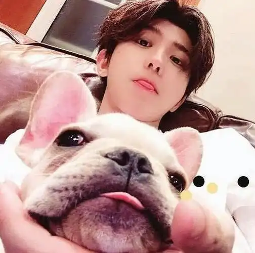 八卦蔡徐坤为什么叫小葵巨cikun小猫咪猪咪