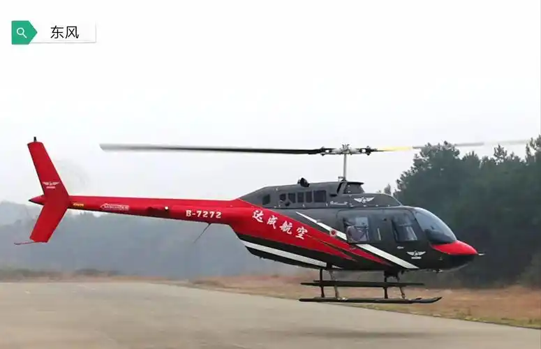 小蜜蜂飞到我的家乡啦!摄影:东风21d