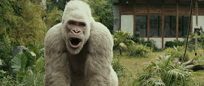 并不是要打感情牌,强森和乔治这两个大块头之间的反差萌真的可爱到不