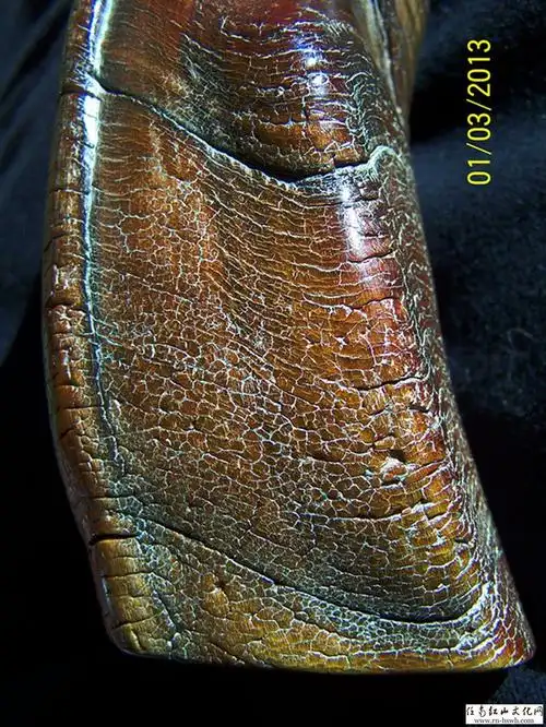 [求鉴] 整根犀牛角