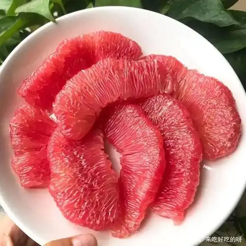 能做朝廷贡品的红心蜜柚,究竟有多牛?粒粒爆汁,甜到入心!