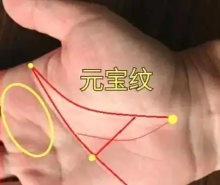 元宝纹手相命运的女人怎样_女性_事业_状况
