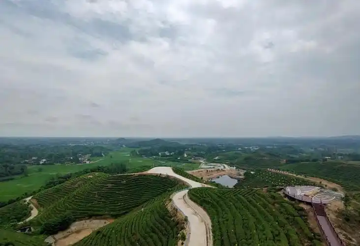 罗山县周党镇:人大代表为乡村振兴发展提速