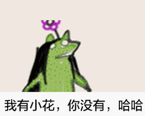 疯狂青蛙你没有我有花斗图gif动图_动态图_表情包下载_soogif