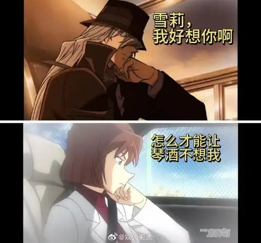 就喜欢这种她逃他追,她插翅难飞的强强cp的感觉,灰原哀还被抓了起来