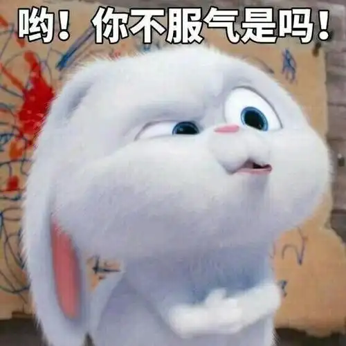 小编在这给各位小伙们准备了表情包 拿去用吧!