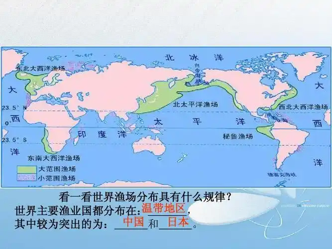 《海洋资源利用和海洋环境保护》课件ppt