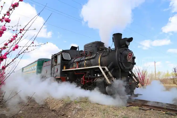 东北网 东北网黑龙江 经济·旅游 旅游  据介绍,桦南林业局森林小火车