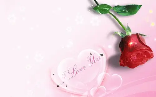 浪漫七夕玫瑰传情,鲜花-回车桌面