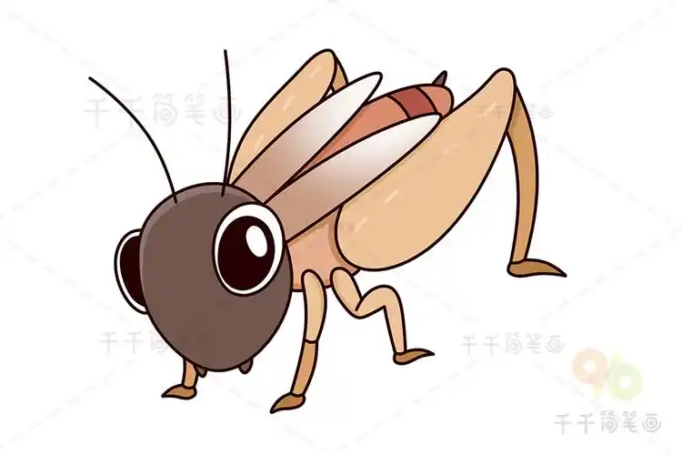 第六步:涂色,蟋蟀画好了.蟋蟀简笔画步骤图