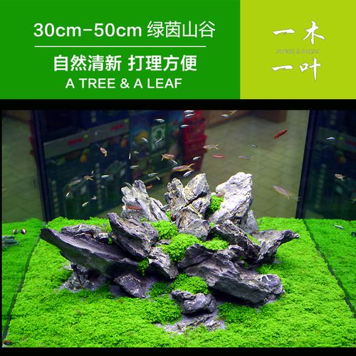 青龙石造景 草缸造景 鱼缸装饰 定制造景 超白鱼缸石景 绿茵之地