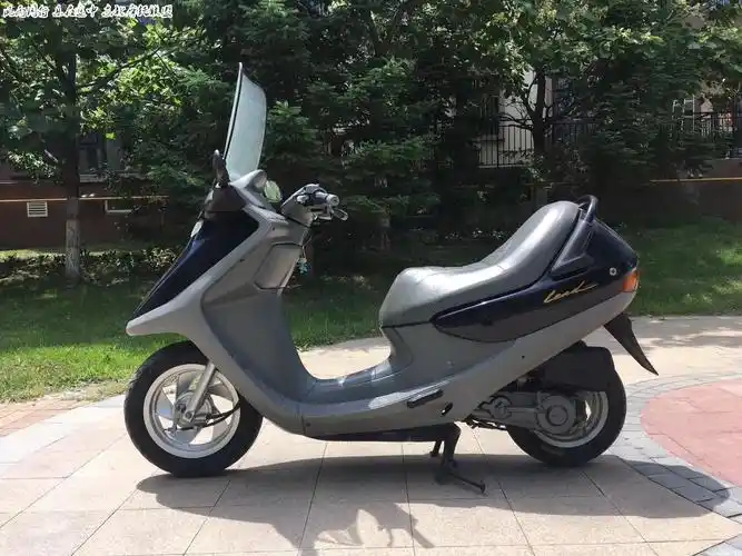 本田小龙船50cc经典精品全国叫板