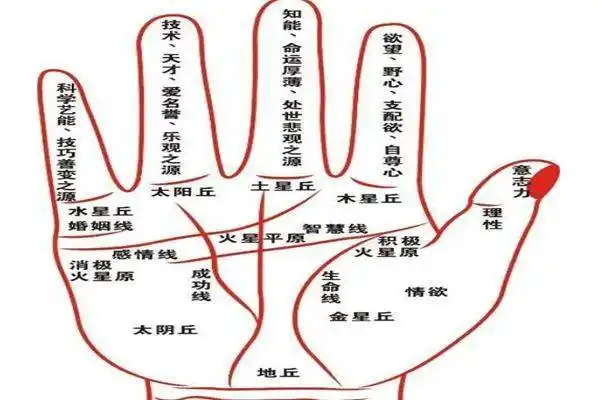 原创无论男女手有这种纹路表示积攒的财富越多大富大贵的命