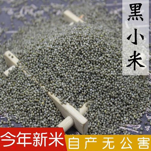 山西平顺黑小米农家自种月子米杂粮