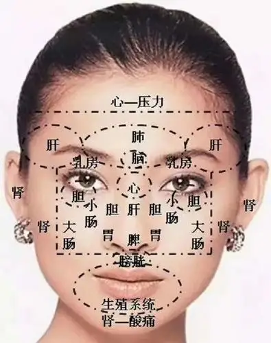 中医养生:颜面望诊(黄色——脾胃;白色——肺;红色——心脑血管;青色