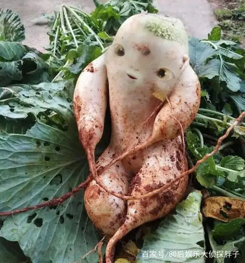 爆笑ps:求大神给这个萝卜p张脸,大神:您这不是萝卜,是胡巴!