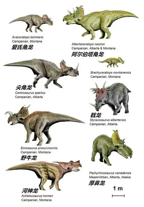 奇特长角恐龙连古生物学家都分不清
